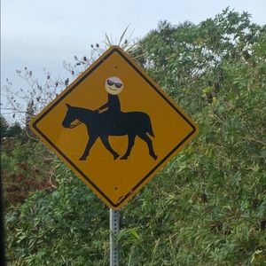 Meet your Posher, Maddie